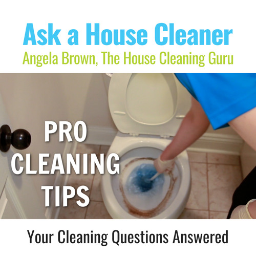 Your Cleaning Questions Answered About Toilets - Pro Cleaning Tips