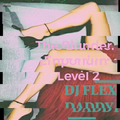DJ FLEX DADDY PRESENTS: The Blunder Emporium Level 2