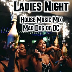 Ladies Night - House Music Mix!