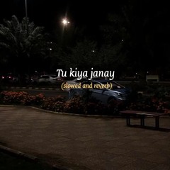 Tu Kya Janay (Slowed+Reverb) | Sahir Ali Bagga |