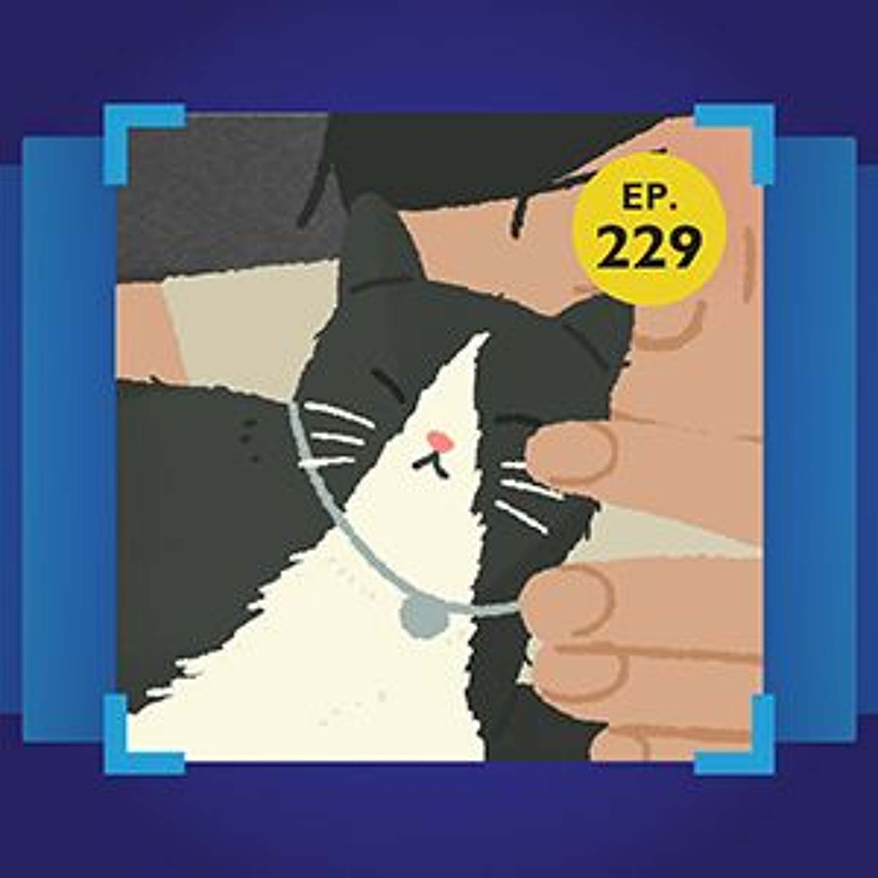 101 Podcast