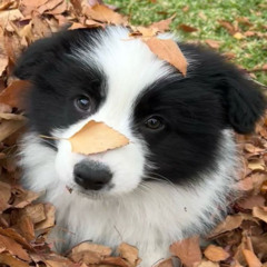 smth on my mind - version 1 unfinished