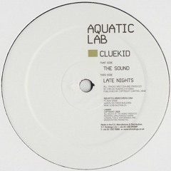 🎵 Cluekid - Late Nights (2010) [Chilled Dubstep]