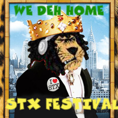 We Deh Home STX 2025 Official Festival/Carnival Mix 🇻🇮
