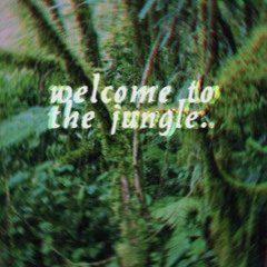 welcome to the jungle by king Darius and Amadi bookie