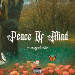 peace of mind (prod fxckpalette)