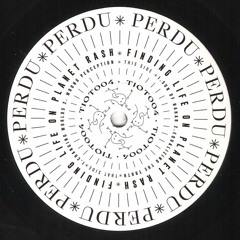 PREMIERE: Perdu - Equalizing The Truth [This Is Our Time]