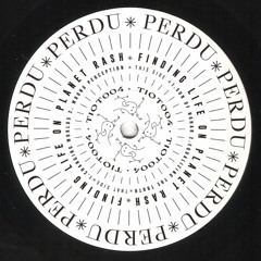 PREMIERE: Perdu - Equalizing The Truth [This Is Our Time]