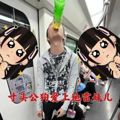 寸头公狗爱上地雷女(Virtual42 Simple&Clean 2-steps  blend)