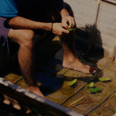 Logan Rf & DJ Noé - Mr. Mameluco Cariri [Single] 🧠