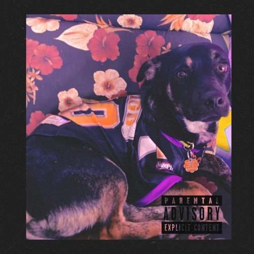 SoWhatDoYouKnow (Improved)