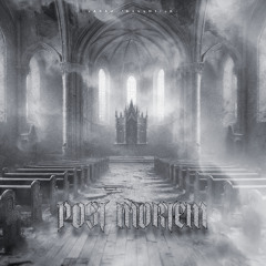 POST MORTEM (SNIPPET)