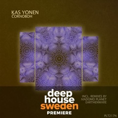 DHS Premiere: Kas Yonen - Čornoboh (Original Mix) [Polyptych Noir]