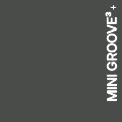 mini groove³