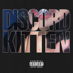 Discord Kitten