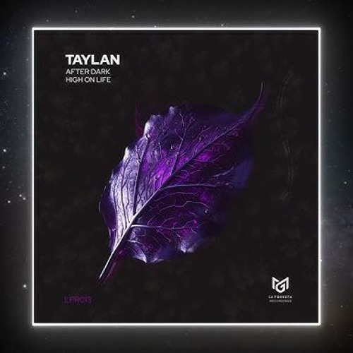 Tim Enso Sunglasses At Night