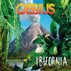Cassius 4 u