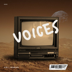 THE VOICES IN MY HEAD - INGMAR EDIT