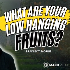 It's Time to Harvest your Low Hanging Fruits