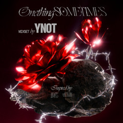 Onething Sometimes Mix By Ynot (Inspired by EverythingAlways Dom Dolla & John Summit)