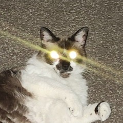 Jesus christ... its bason journe