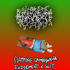 Slamming Gnomesperimental Experiment N Shit