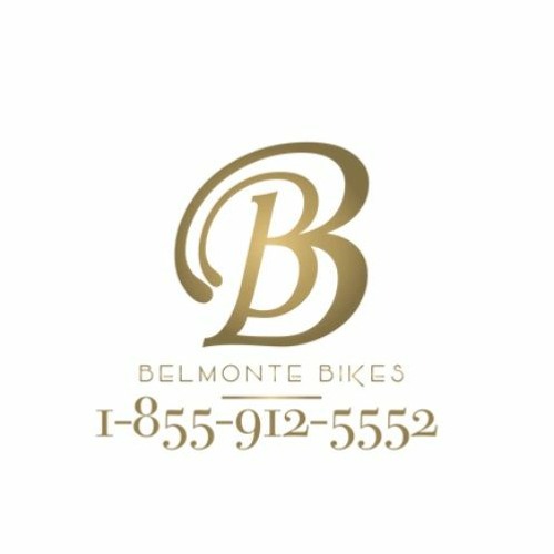 ⚡ How Can an Electric Go Kart from Belmonte Bikes Transform Your Racing Experience?