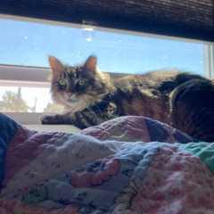 This Is Where We Are