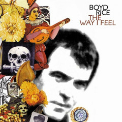 Love Will Change the World (The Boyd Rice Experience)