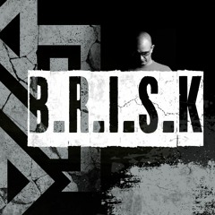 B.R.I.S.K [Free Download]