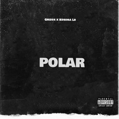 Polar x Kosdra Lb