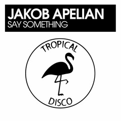 PREMIERE: Jakob Apelian - Say Something [Tropical Disco Records]