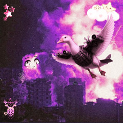 D4SH4GH