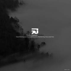 Transient Emphasis (Ckole Remix)