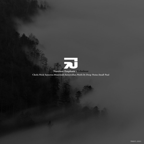 Transient Emphasis (Ckole Remix)