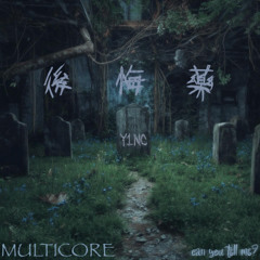 DistroKid Wheel of Playlist