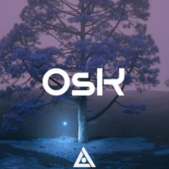 Deep House Guest Mix #11 | OsK Shapes | By Xavier Dragner
