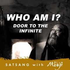 Who Am I? — Door to the Infinite