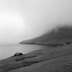 sheepy prod sheepy yonky