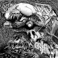 Primal Instinct STDIGI051 - 07 Not From Your World (Metalogue Remix)