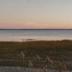 Darling Farah - Aaangel (Null Test Re-Misinterpretation)