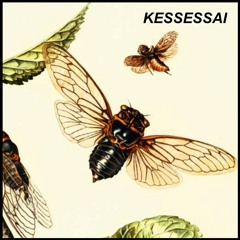 Kessessai (Charlie's super sweet 30)