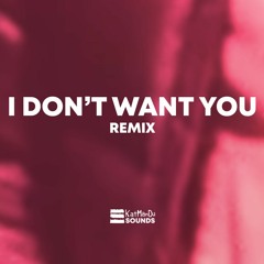 Riton, Raye - I Don't Want You (Drill Remix)