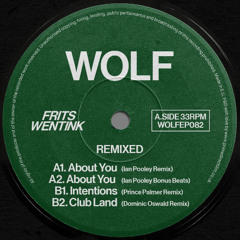 PREMIERE: Frits Wentink - Intentions (Prince Palmer Remix)