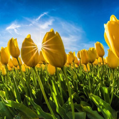 Existential Meaning Making