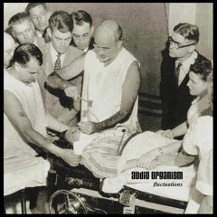 Audio Organism - Fluctuations - 04 Long Way Back