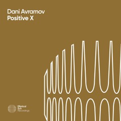 Dani Avramov - Positive X