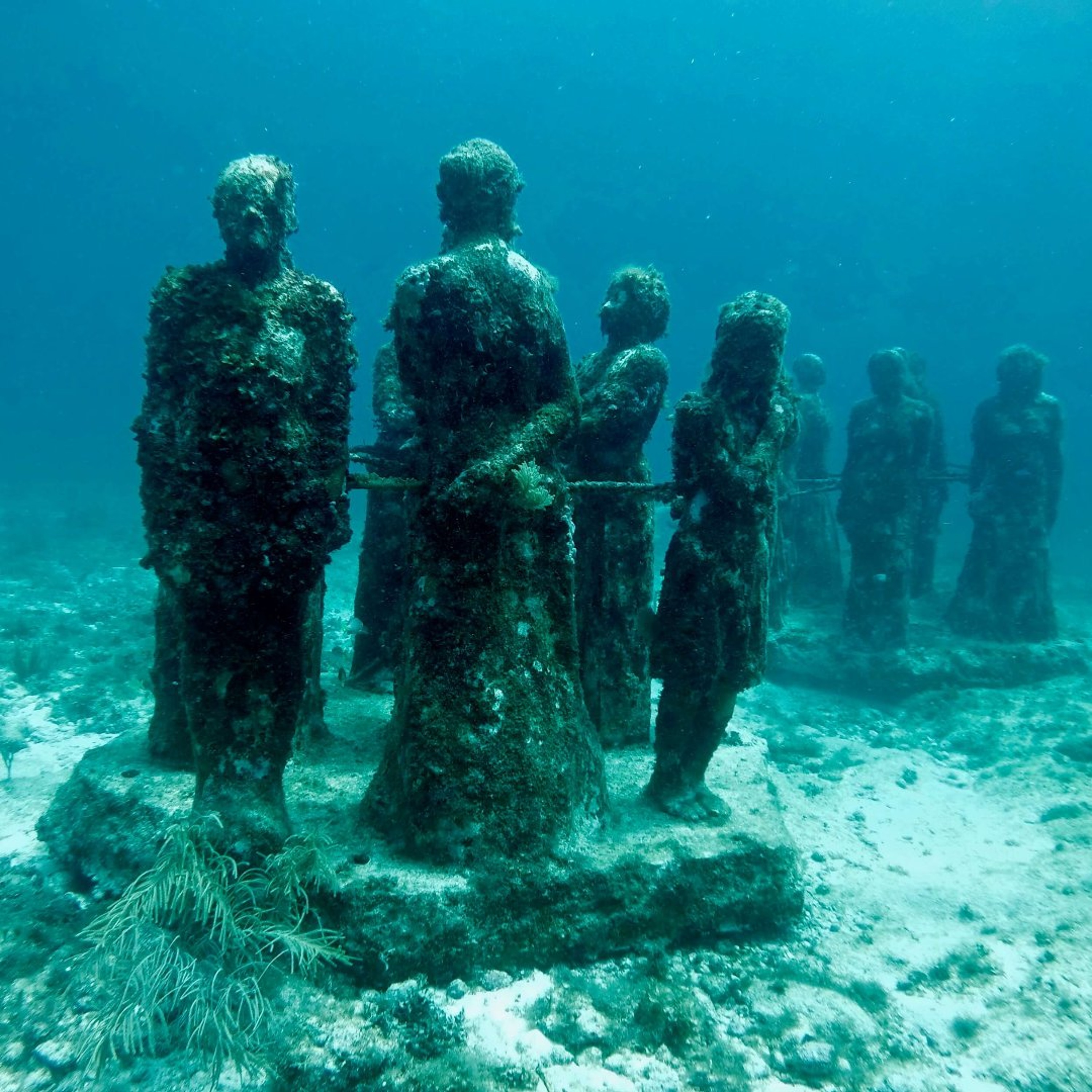 Isla Mujeres episode artwork