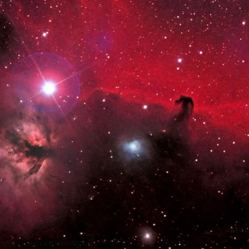 Stream bittersweet reality [sample library] by lemonboy! [fl21