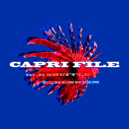 hk_minimal_tracks_133